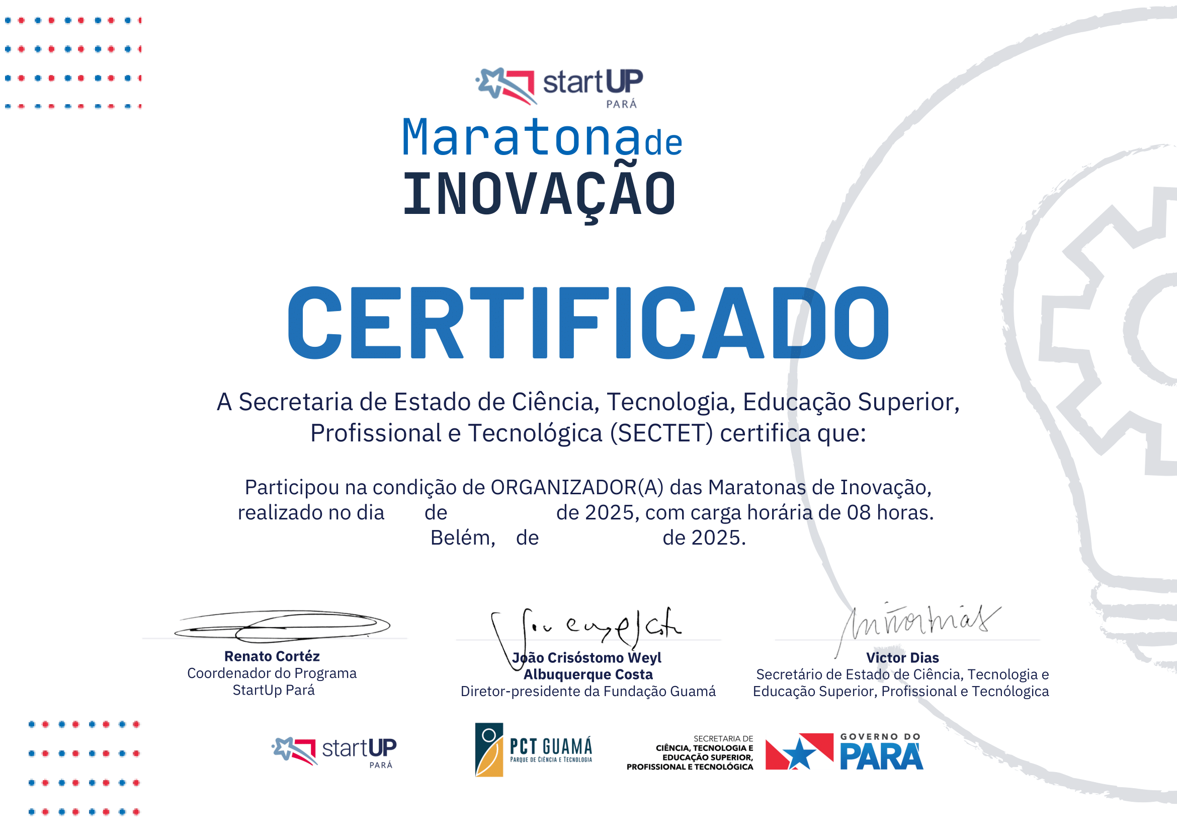 Preview do Template Organizador